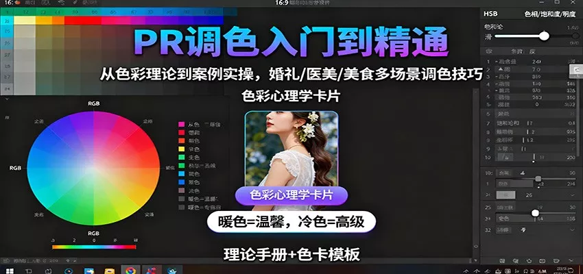 PR调色入门到精通：从色彩理论到案例实操，婚礼/医美/美食多场景调色技巧 - 项目资源网