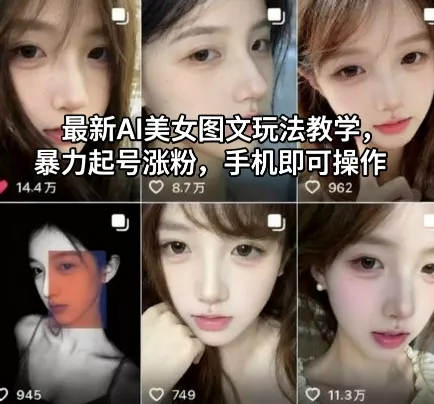 最新AI美女图文玩法教学，暴力起号涨粉，手机即可操作 - 项目资源网