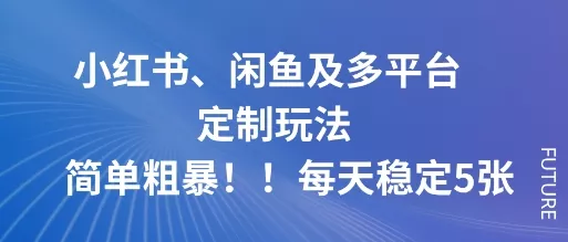 小红书、闲鱼及多平台定制玩法简单粗暴！每天稳定5张 - 项目资源网