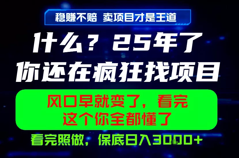 26年，请不要疯狂的找项目做了！卖项目才是真的稳賺不赔，看完照做，保底日入1k+【揭秘】 - 项目资源网