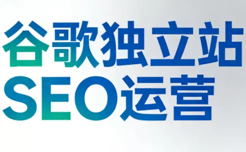 谷歌独立站SEO运营(更新2026) - 项目资源网