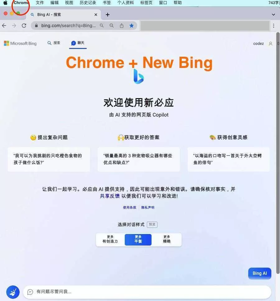 微软New Bing完美聊天机器人源码，支持ChatGPT提示词 国内可用，基本兼容微软 Bing AI 所有功能 - 项目资源网