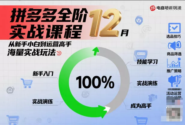 拼多多全阶实战课程12月，从新手小白到运营高手，海量实战玩法 - 项目资源网