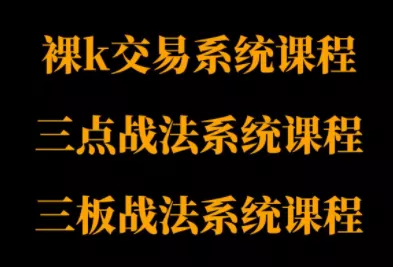 半山猎人三套系统课程(裸K体系、三点体系、三板体系) - 项目资源网