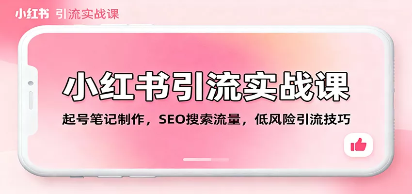 小红书引流实战课：起号笔记制作，SEO搜索流量，低风险引流技巧 - 项目资源网