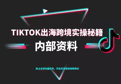 TikTok跨境电商0-1搭建运营(更新10月) - 项目资源网