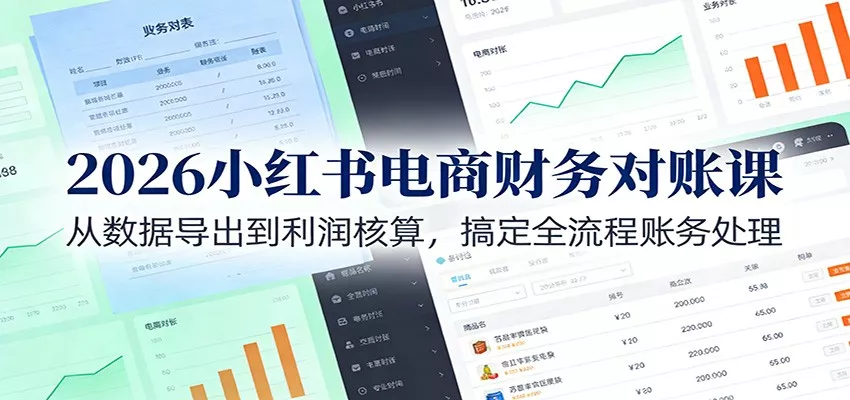 2026小红书电商财务对账课：从数据导出到利润核算，搞定全流程账务处理 - 项目资源网