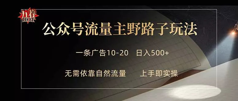 公众号流量主野路子玩法 单条广告10-20元 日入500+ - 项目资源网