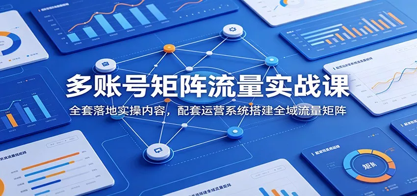 多账号矩阵流量实战课：全套落地实操内容，配套运营系统搭建全域流量矩阵 - 项目资源网