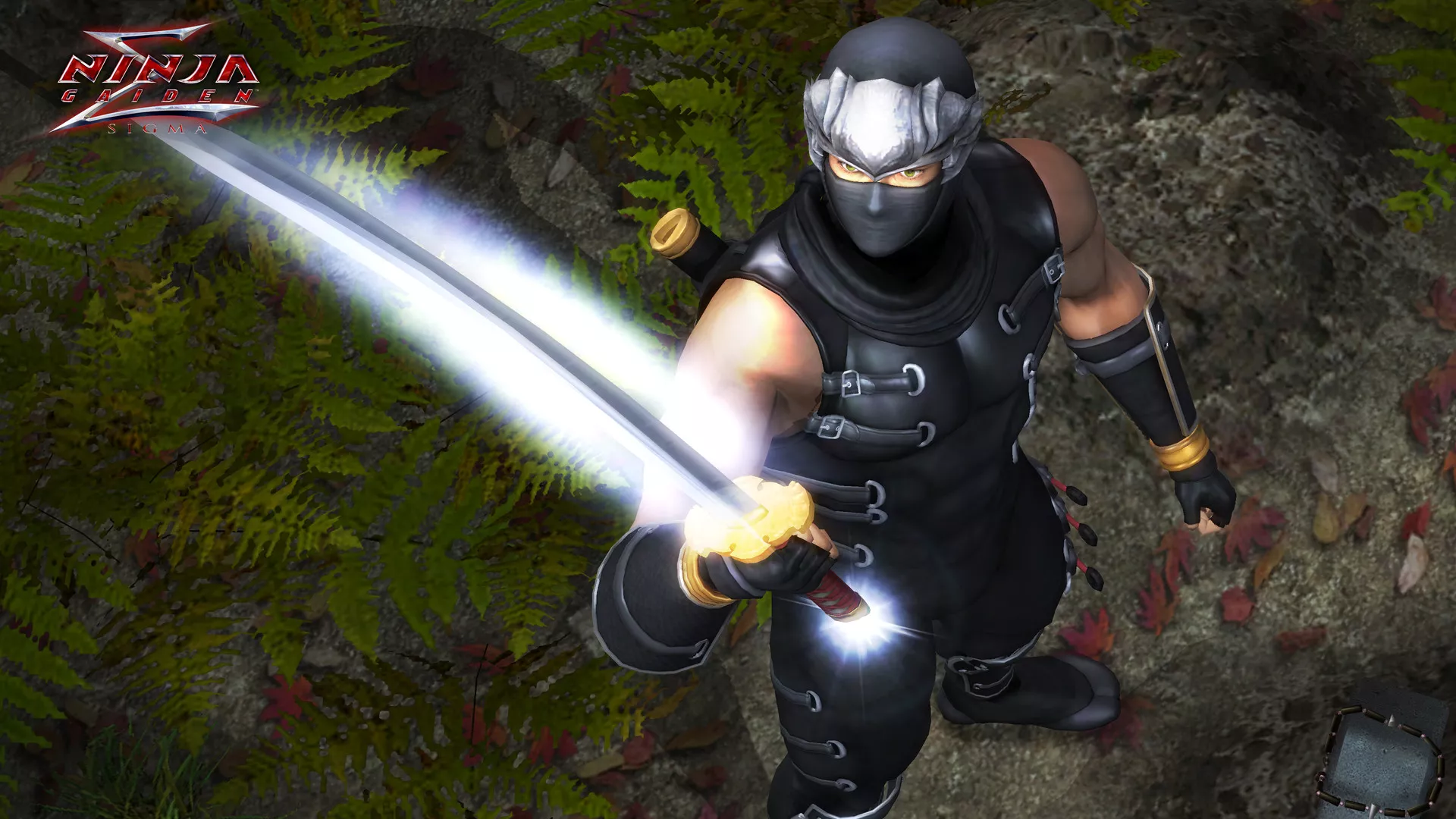 《忍者龙剑传：大师合集/NINJA GAIDEN: Master Collection》PC中文版下载-含v1.0.0.3 - 项目资源网