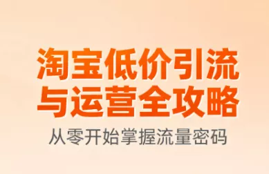 淘宝低价引流与运营全攻略(更新9月) - 项目资源网
