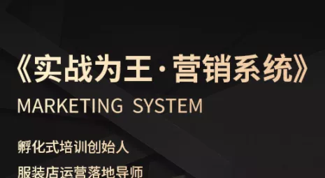 老杨·服装老板必修课《实战为王-营销系统》实现业绩被动式增长 - 项目资源网