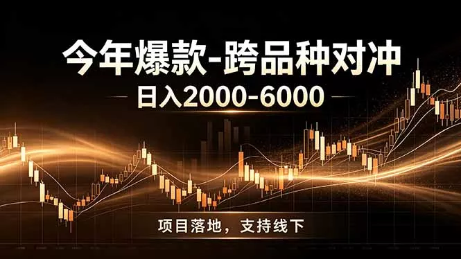 全新跨品种对冲模式上线！日稳定盈利 2000-6000，合规长久可批量放大 - 项目资源网