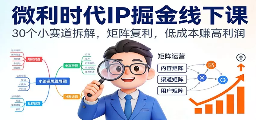 微利时代IP掘金线下课：30个小赛道拆解，矩阵复利，低成本赚高利润 - 项目资源网