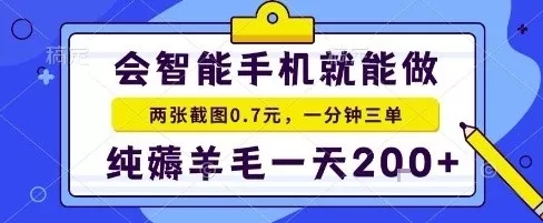 手机项目,二十秒一单,纯薅羊毛一天2张+做就有【揭秘】