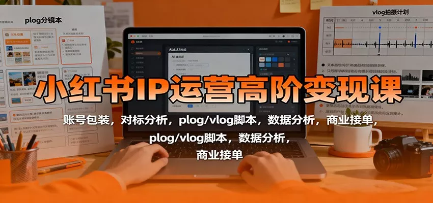 小红书IP运营高阶变现课：账号包装，对标分析，plog/vlog脚本，数据分析，商业接单 - 项目资源网