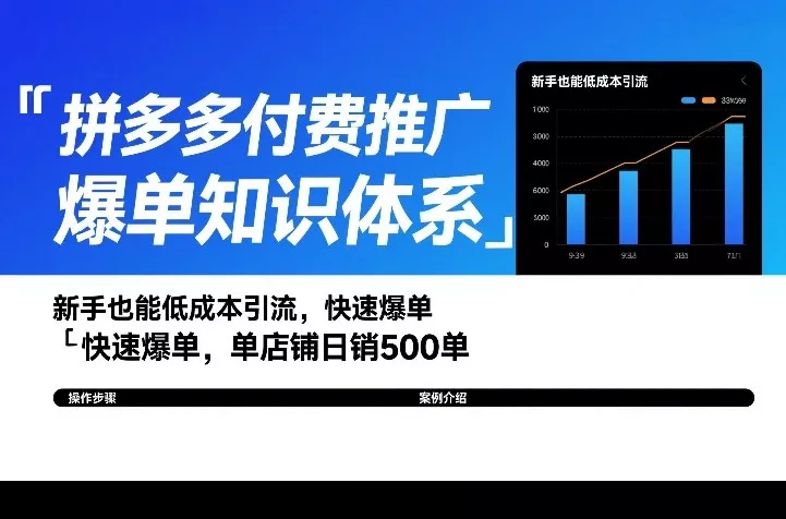 拼多多付费推广爆单知识体系，新手也能低成本引流，快速爆单，单店铺日销500单 - 项目资源网