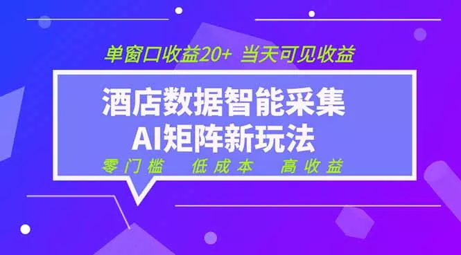 2026酒店数据采集ai智能矩阵新风口 低成本 高收益 当天见收益 单窗口20+ - 项目资源网