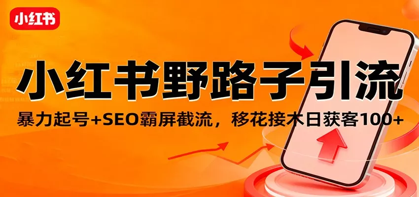 小红书野路子引流，暴力起号+SEO霸屏截流，移花接木日获客100+ - 项目资源网