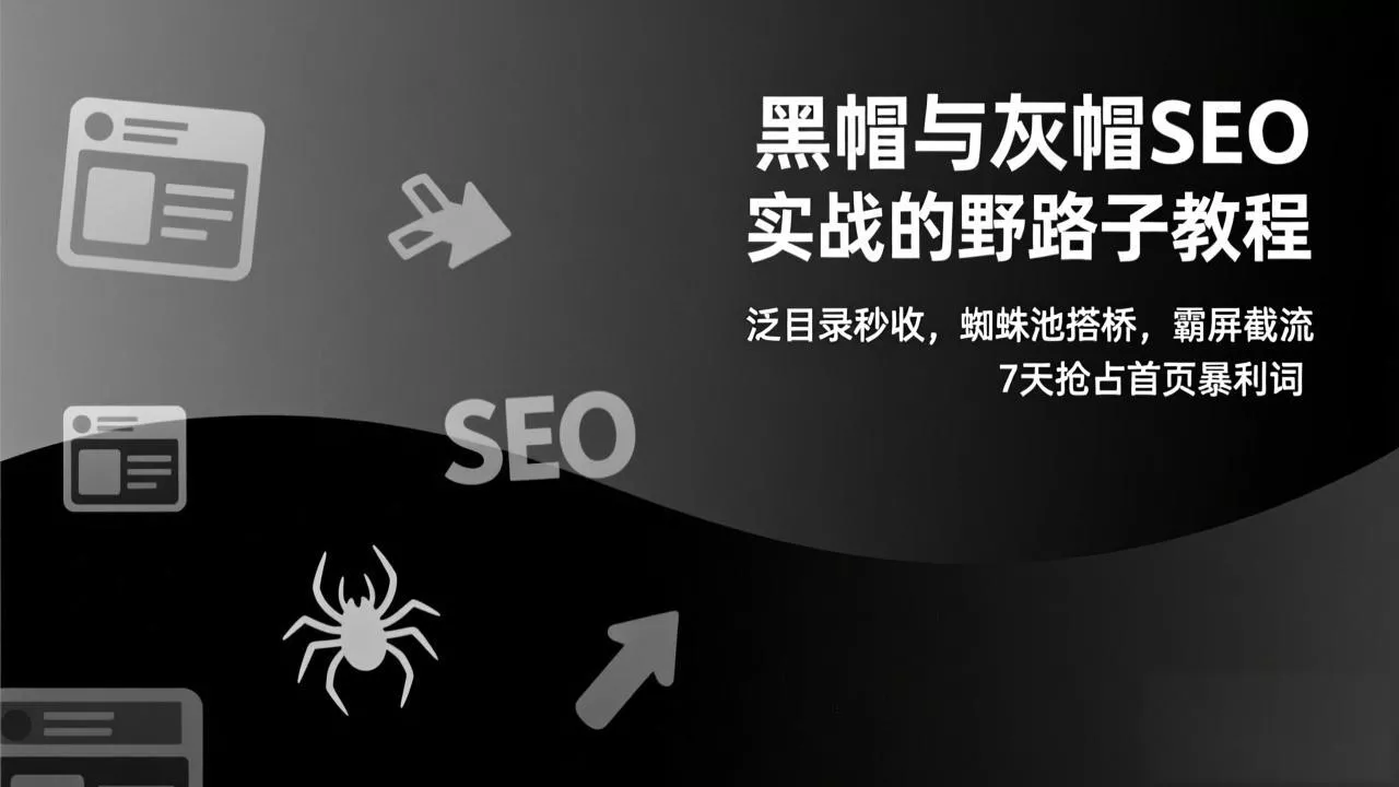 黑帽与灰帽SEO实战的野路子教程：泛目录秒收，蜘蛛池搭桥，霸屏截流，7天抢占首页暴利词 - 项目资源网