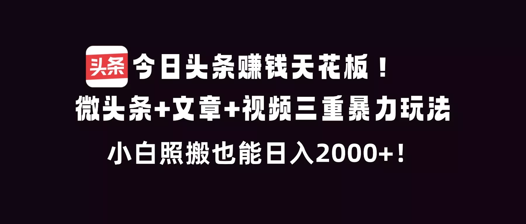 今日头条赚钱天花板！微头条+文章+视频三重暴利玩法，小白照搬也能日人2000+ - 项目资源网