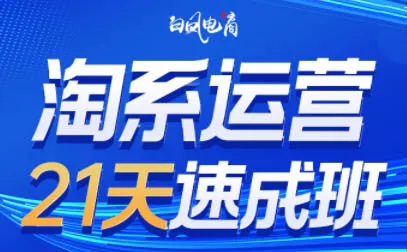 白凤电商·淘系运营21天速成班(更新2026) - 项目资源网