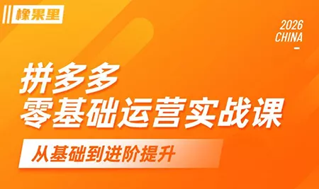 仙道电商·拼多多零基础运营实战课 仙道电商·拼多多零基础运营实战课