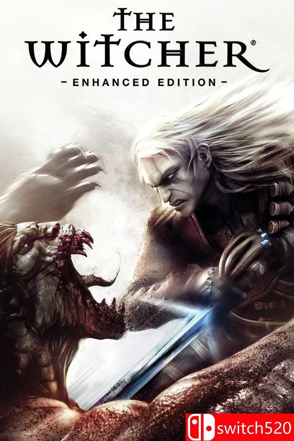 《巫师加强版（The Witcher: Enhanced Edition）》官方中文 v1.5 [繁体/英文] - 项目资源网