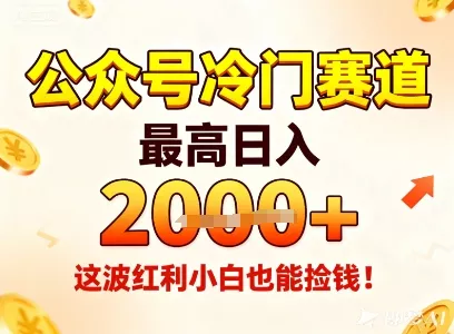 公众号冷门赛道，最高日入1k+，这波红利小白也能捡钱！ - 项目资源网