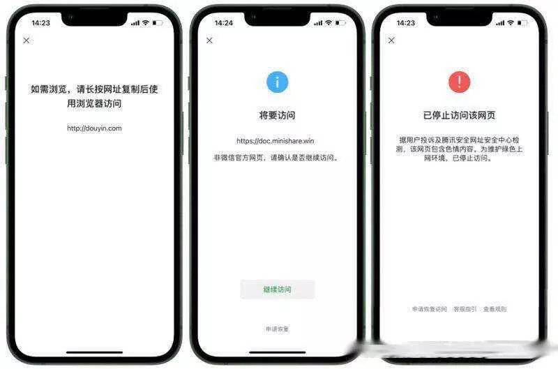2023最新检测域名是否能在微信正常打开API源码 - 项目资源网