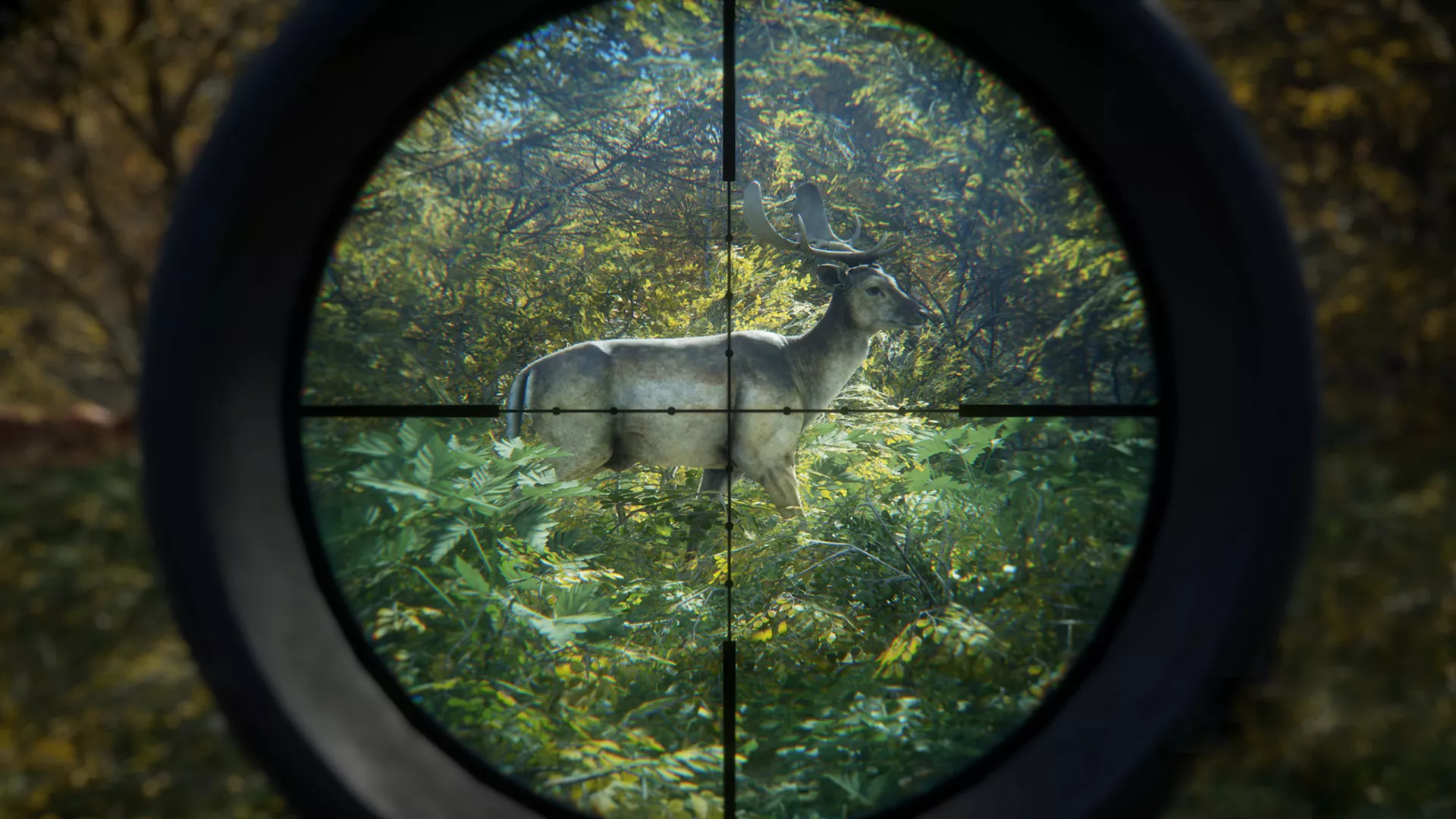 《猎人：荒野的召唤/theHunter: Call of the Wild》PC中文版下载-含v3101875 - 项目资源网