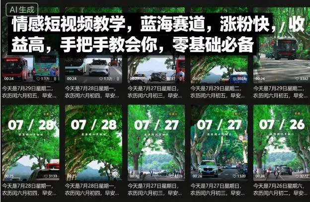 情感短视频教学，蓝海赛道，涨粉快，收益高，手把手教会你，零基础必备 - 项目资源网