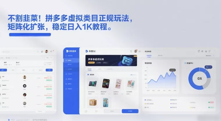 不割韭菜！拼多多虚拟类目正规玩法，矩阵化扩张，稳定日入1K教程【揭秘】 - 项目资源网