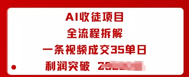 AI收徒项目全流程拆解一条视频成交35单日利润突破1k+ - 项目资源网