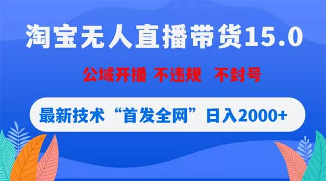 淘宝无人直播带货15.0，不封号，不违规，公域玩法，首发全网日入2000+ - 项目资源网