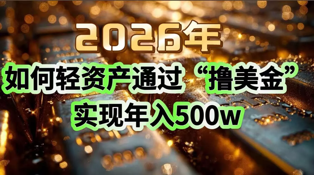 2026年如何轻资产通过“撸美金”实现年入500w - 项目资源网