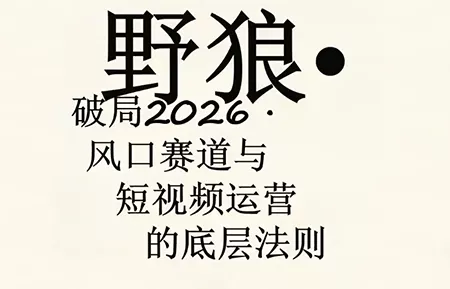 野狼团队·多平台实操运营课(更新4月) 野狼团队·多平台实操运营课(更新4月)