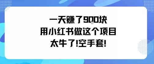 一天挣了9张用小红书做这个项目太牛了，空手套 - 项目资源网