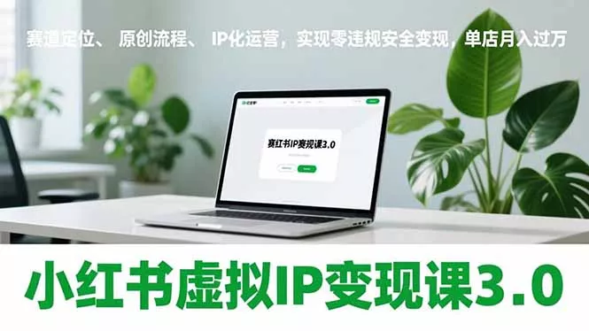 小红书虚拟IP变现课3.0,赛道定位、原创流程、IP化运营,实现零违规安全变现,单店月入过万 小红书虚拟IP变现课3.0,赛道定位、原创流程、IP化运营,实现零违规安全变现,单店月入过万