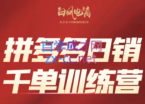 白凤电商·拼多多日销千单训练营(更新2月) 白凤电商·拼多多日销千单训练营(更新2月)