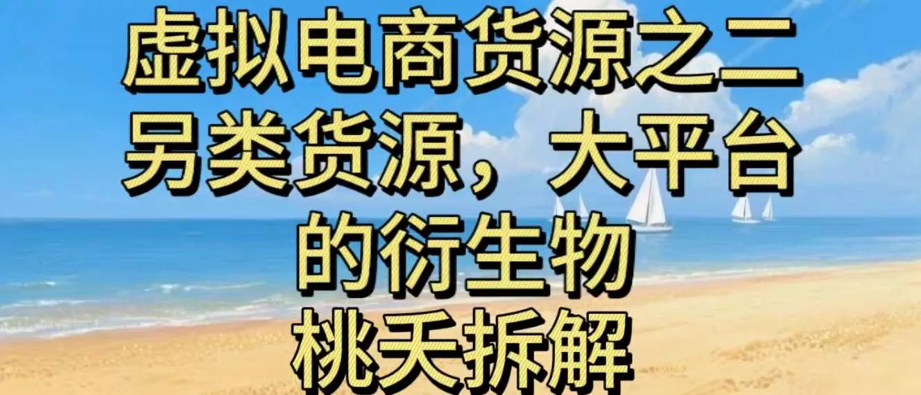 虚拟电商之二—另类的货源，大平台的衍生物 - 项目资源网