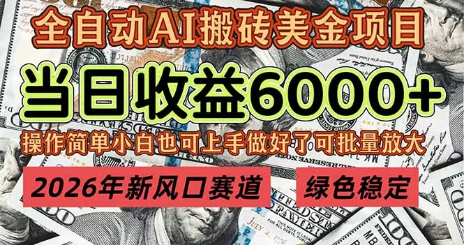 2026年新风口赛道，当日6000+以上，可批量放大，月收入20万+，长期绿色稳定的项目 - 项目资源网