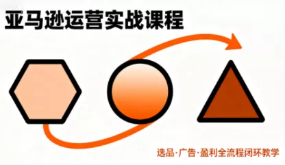 毕方电商·亚马逊全站会员课程(更新3月) 毕方电商·亚马逊全站会员课程(更新3月)