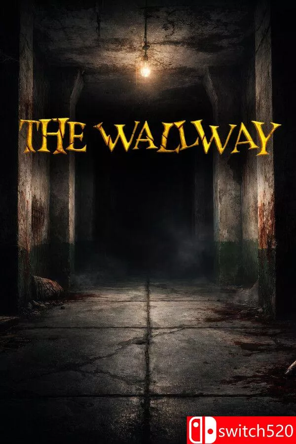 《幽暗走廊（THE WALLWAY）》Build 21325039 [英文] - 项目资源网
