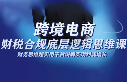 跨境电商财稅合规底层逻辑思维课 - 项目资源网
