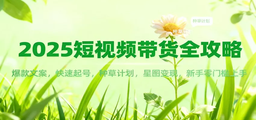 2025短视频带货全攻略：爆款文案，快速起号，种草计划，星图变现，新手零门槛上手 - 项目资源网