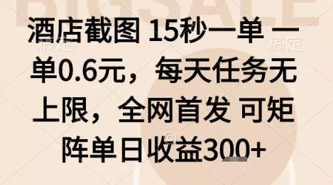 酒店截图项目，15秒一单，一单0.6米，每天任务无上限，全网首发可矩阵单日收益3张+【揭秘】 - 项目资源网