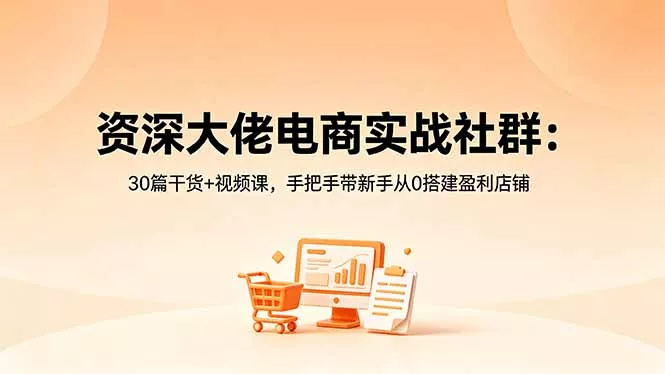 资深大佬电商实战社群：30篇干货+视频课，手把手带新手从0搭建盈利店铺 - 项目资源网