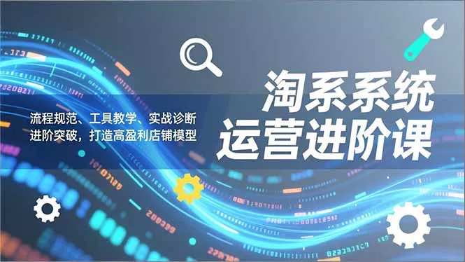 淘系系统运营进阶课2.0，流程规范、工具教学、实战诊断，进阶突破，打造高盈利店铺模型 - 项目资源网