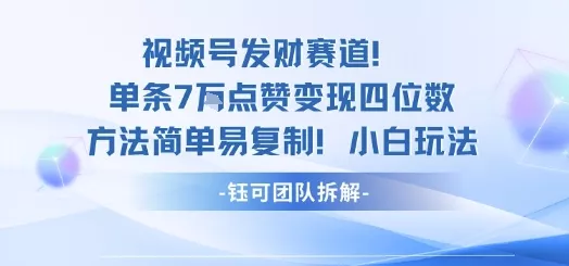 视频号发财赛道单条7W点赞变现四位数方法简单易复制小白玩法 - 项目资源网